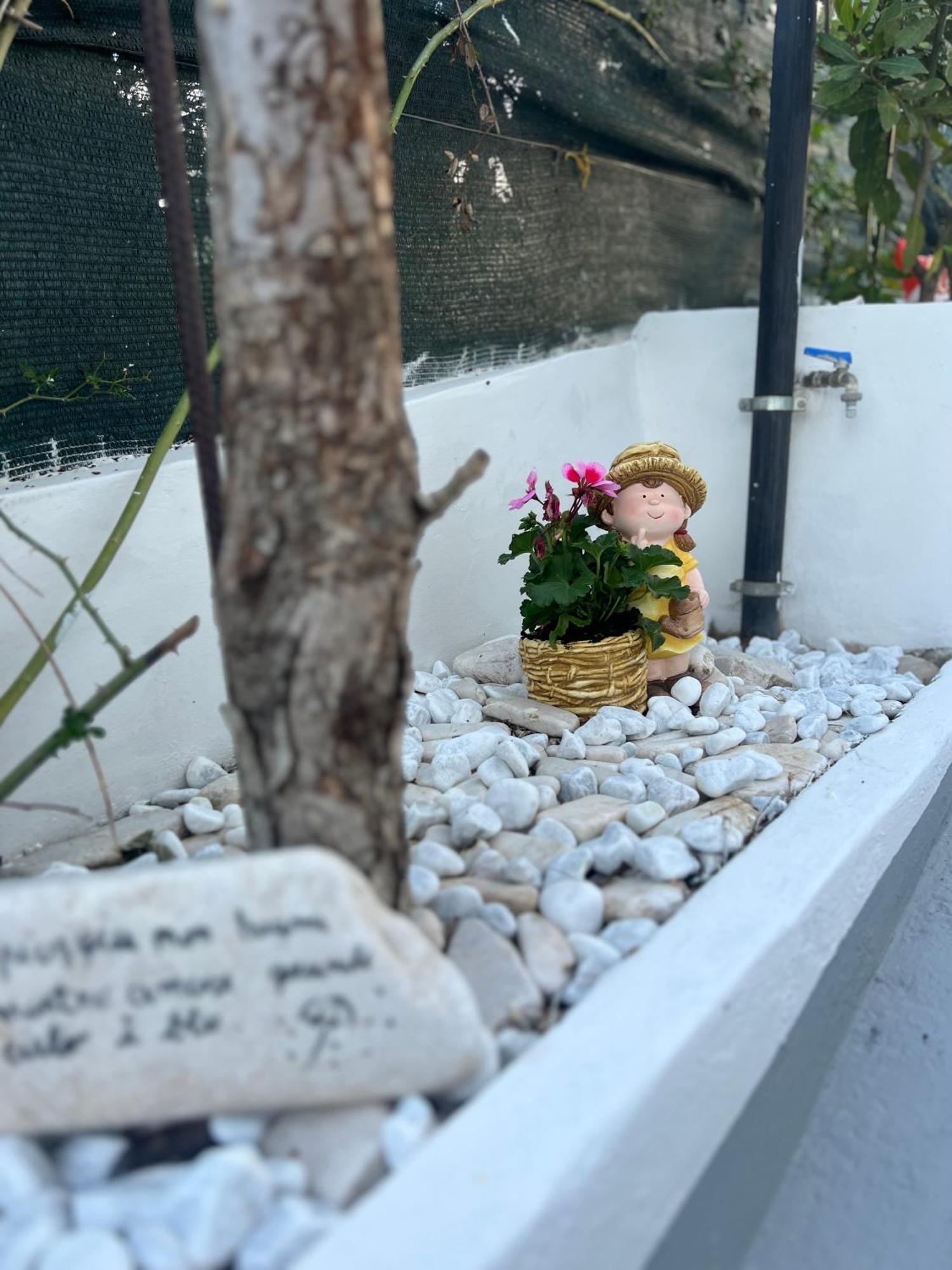 Casa Contrada Molinello Hotel Castellammare del Golfo Kültér fotó